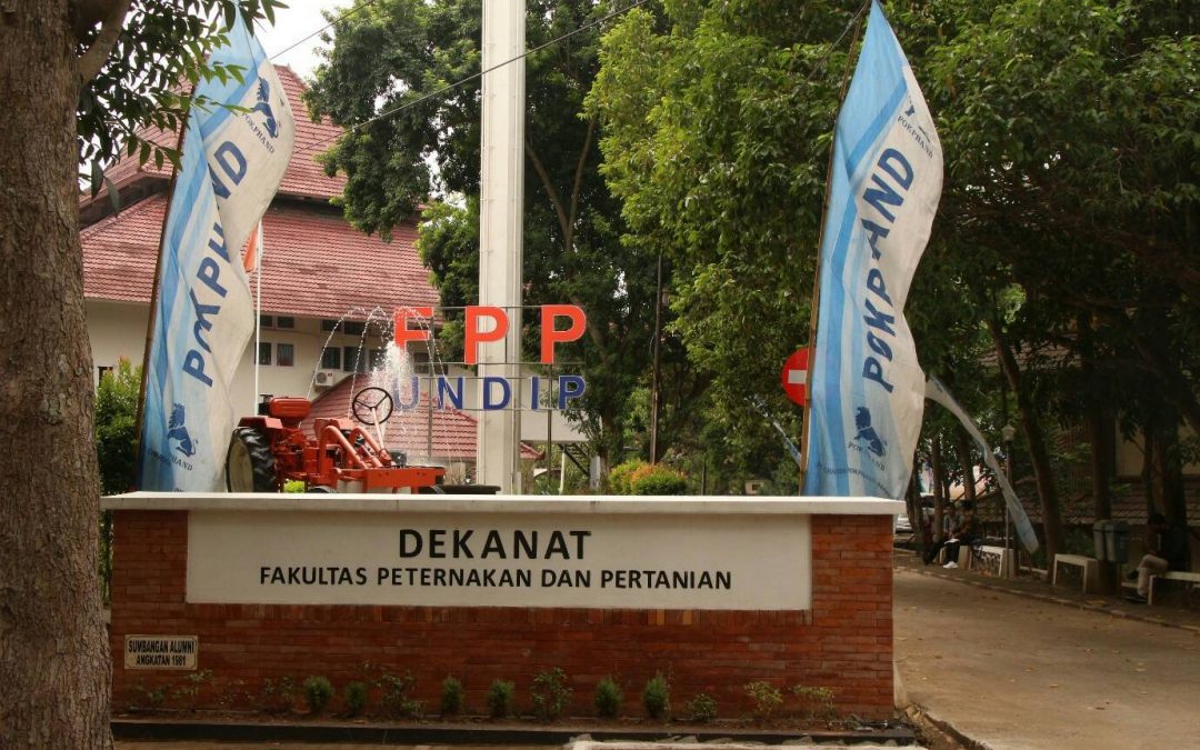Pendaftaran PWMP 2022 Fakultas Peternakan dan Pertanian Universitas Diponegoro