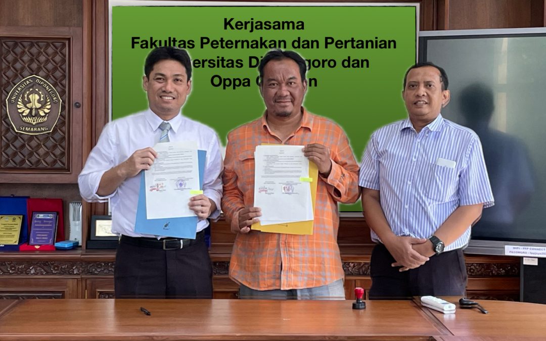 FPP Undip Resmi Kolaborasi dengan Oppa Chicken