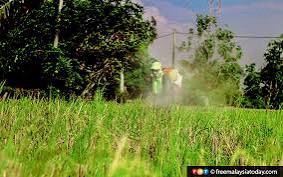 Menguatkan Ekosistem Halal: Teknologi Pangan FPP Undip Hadir dalam Forum Internasional